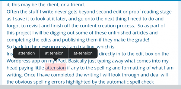 taking advantage of the available spell check facilities